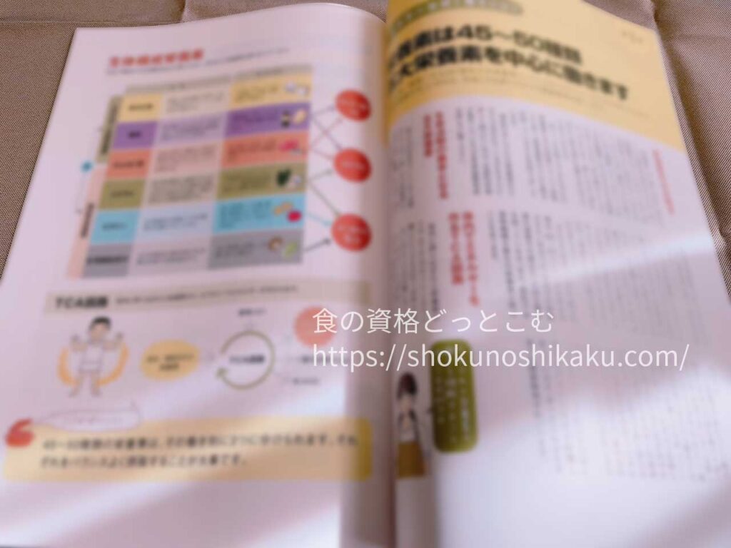 キャリカレの食育アドバイザー資格取得講座のテキスト・教材