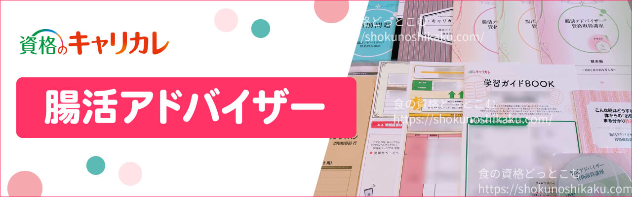 キャリカレの腸活アドバイザー資格取得講座