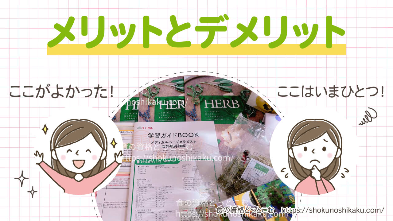 キャリカレのメディカルハーブセラピスト資格講座のメリットとデメリット