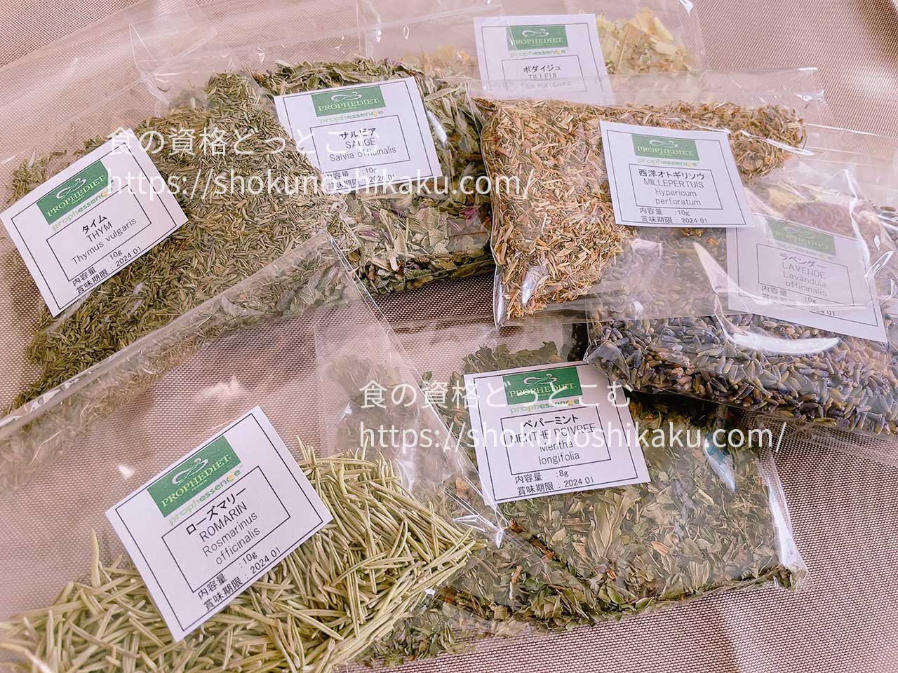 キャリカレのメディカルハーブセラピスト資格取得講座の教材・テキスト