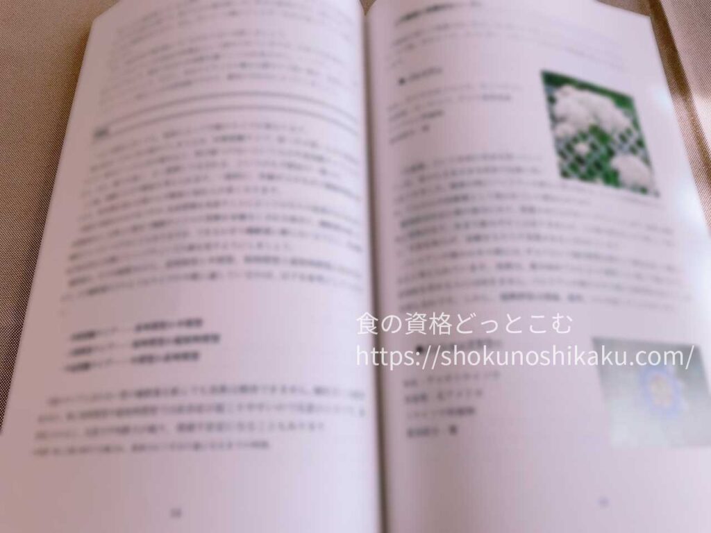 キャリカレのメディカルハーブセラピスト資格取得講座の教材・テキスト