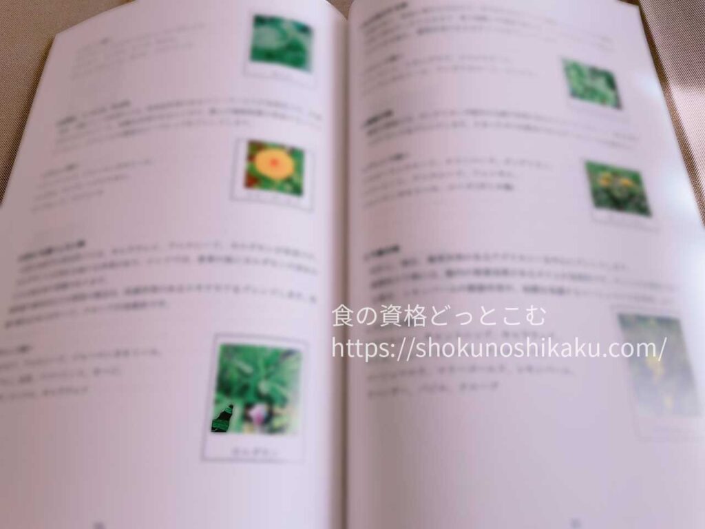 キャリカレのメディカルハーブセラピスト資格取得講座の教材・テキスト