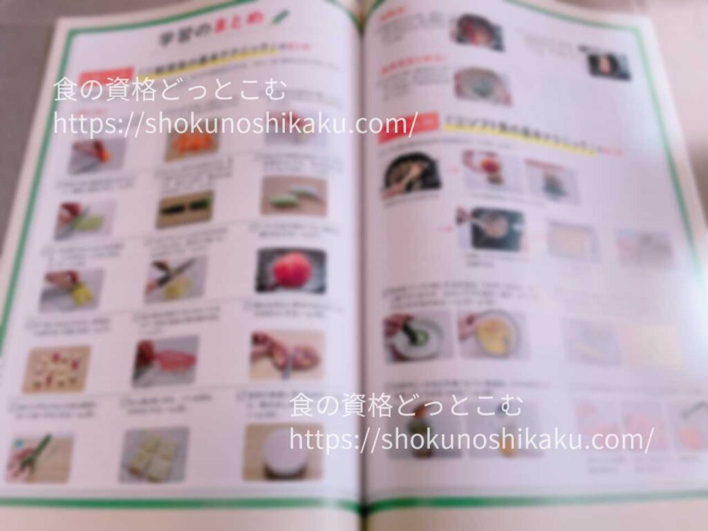 キャリカレの介護食アドバイザー資格取得講座の教材・テキスト