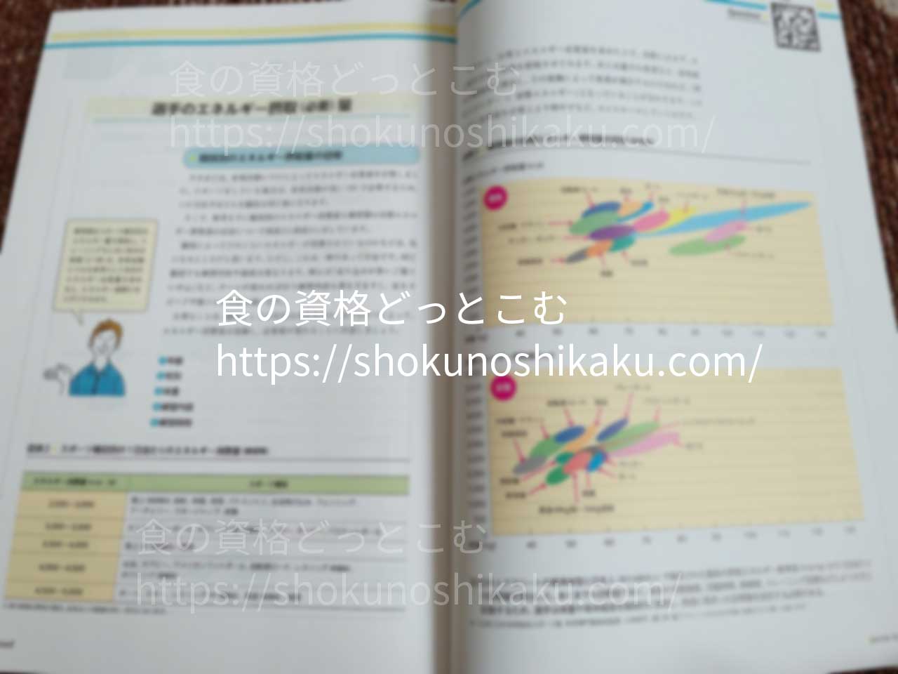 キャリカレのスポーツフードアドバイザー資格講座のテキスト2