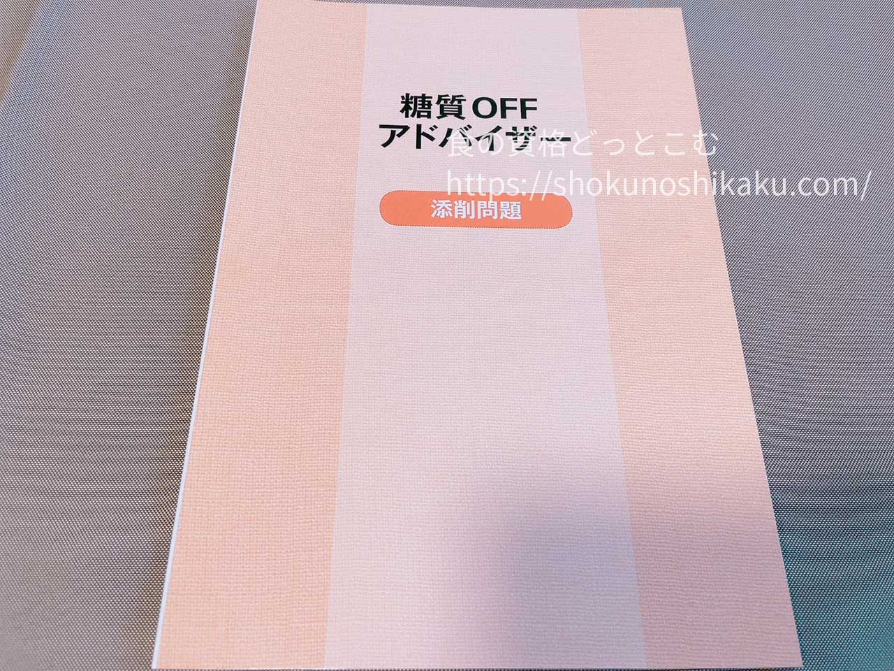 キャリカレの糖質オフアドバイザー資格取得講座のテキスト・教材