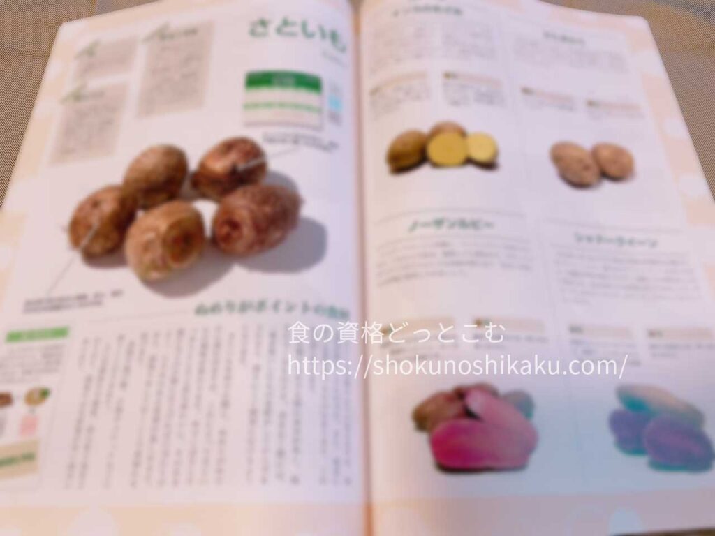 キャリカレのベジタブル＆フルーツアドバイザー資格講座のテキスト・教材