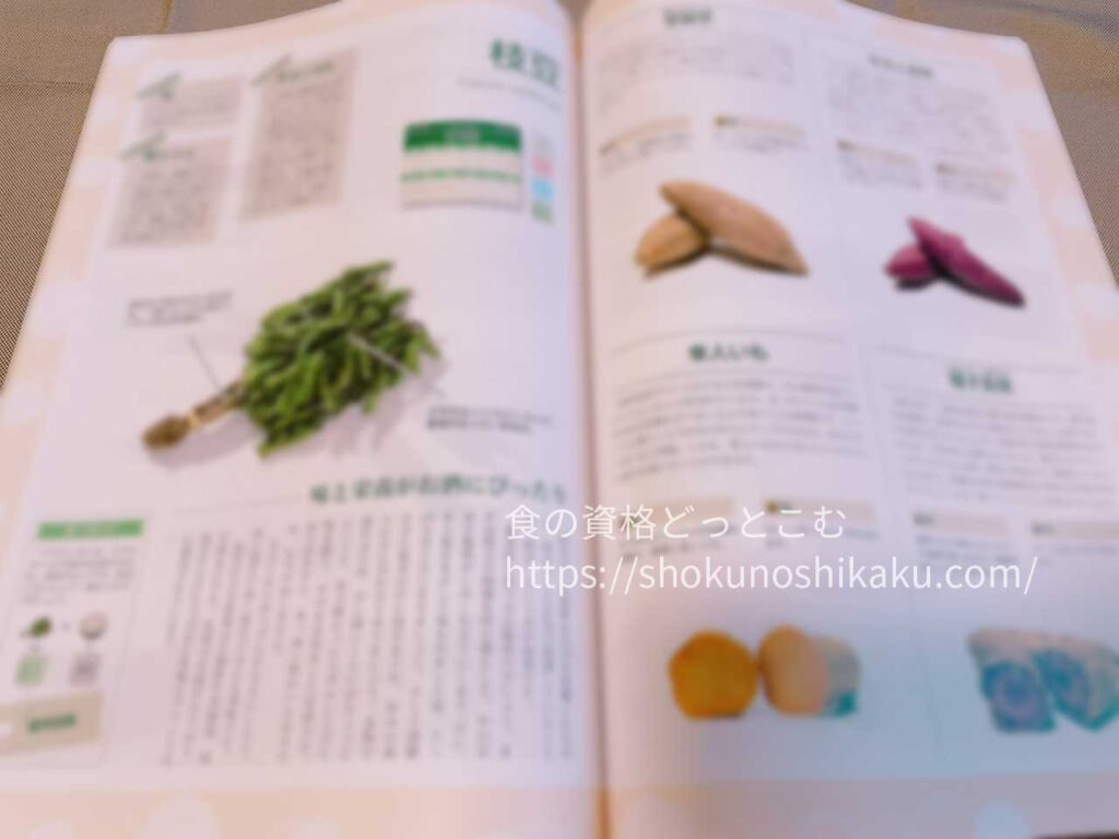 キャリカレのベジタブル＆フルーツアドバイザー資格講座のテキスト・教材