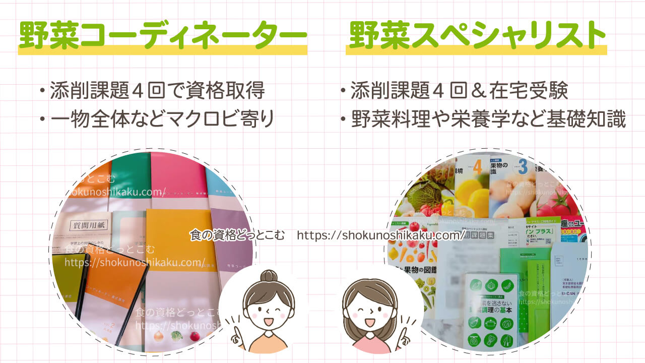 野菜コーディネーターと野菜スペシャリストの違い