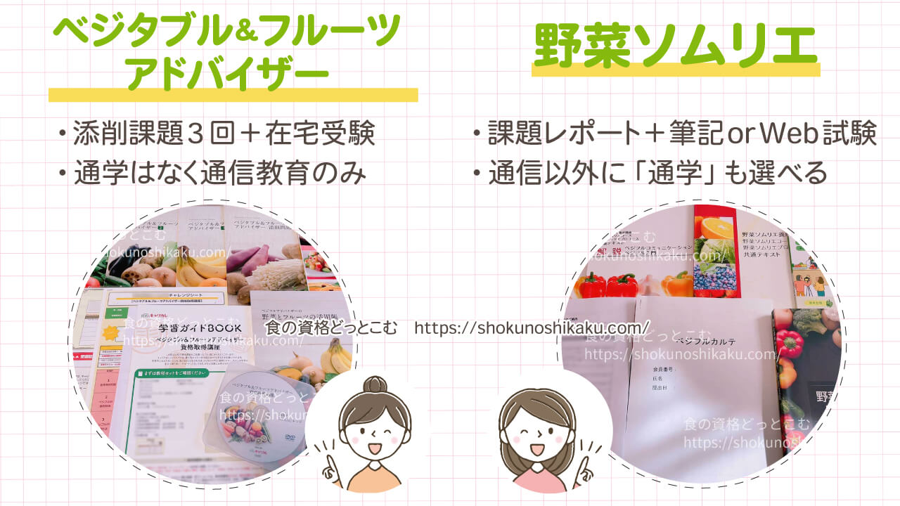 ベジタブルフルーツアドバイザー野菜ソムリエ違い