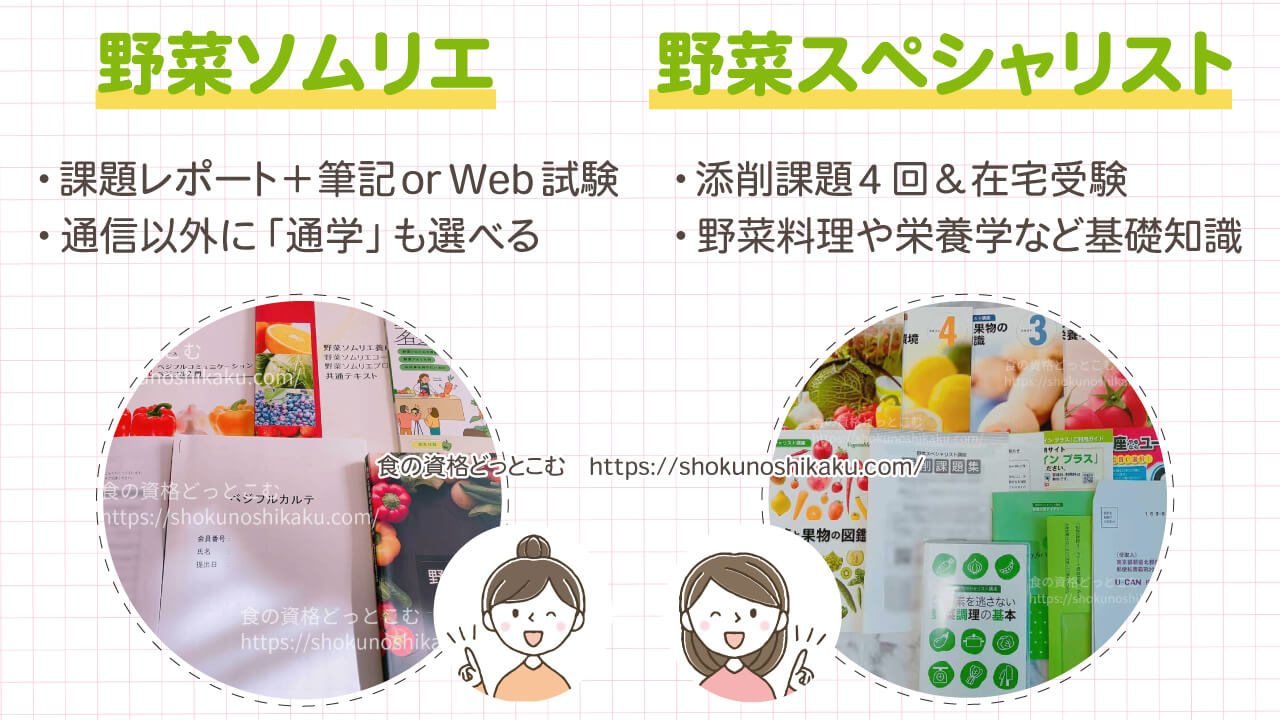 野菜ソムリエと野菜スペシャリストの違い