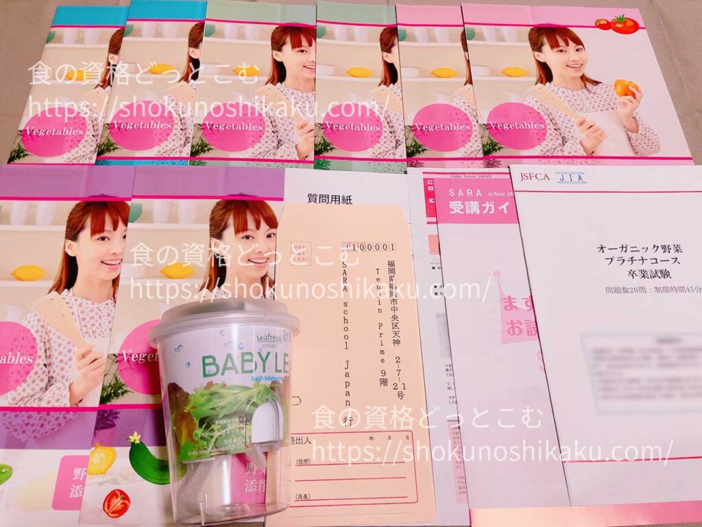 SARAスクールの野菜基本・プラチナコース