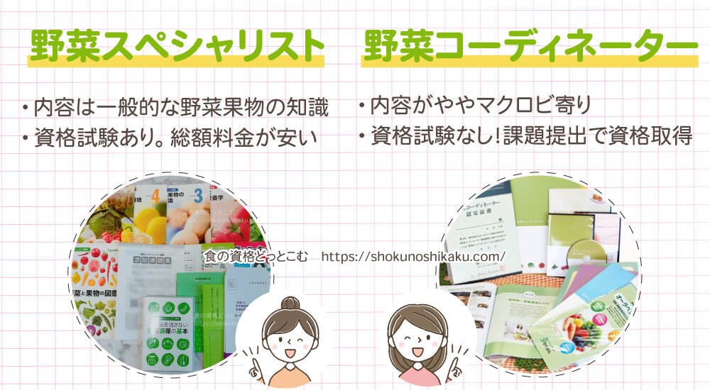 野菜スペシャリストと野菜コーディネーターの違い